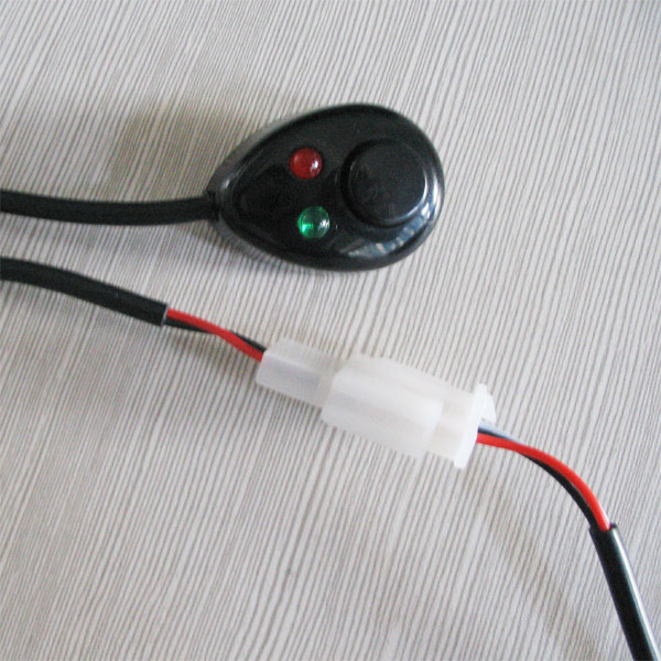 Button Switch